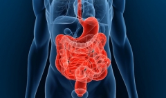 intestin glutamine crohn